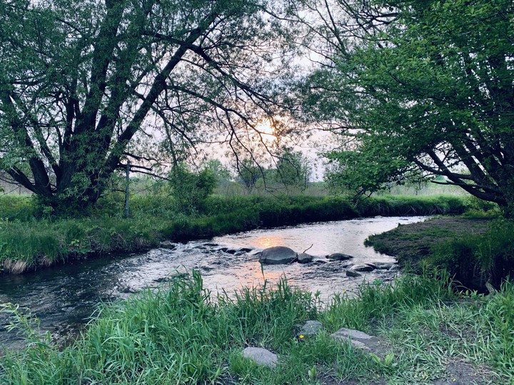 Nature