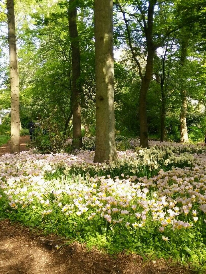 Green Heaven