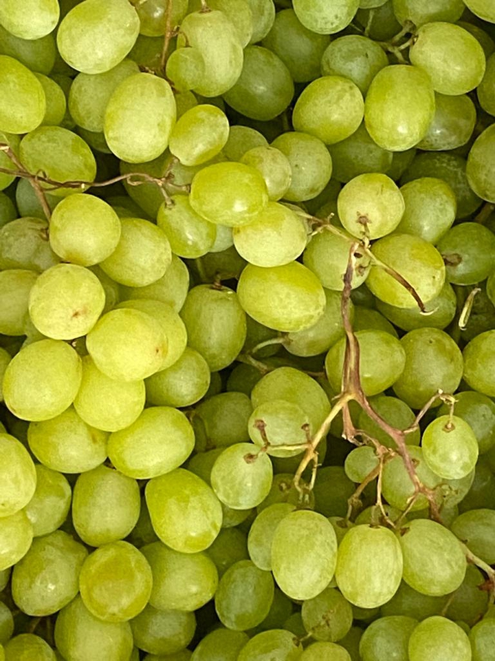 this year I have grown beautiful grapes ❤️