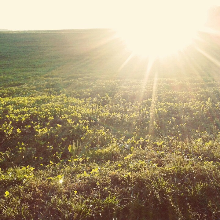Nature