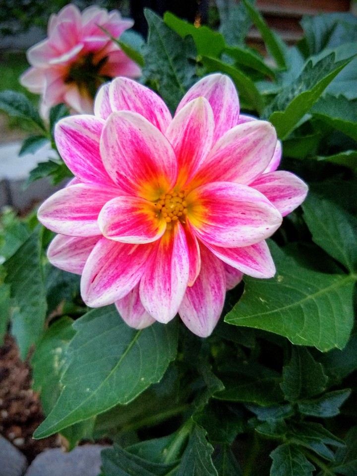 Beauty everywhere you go