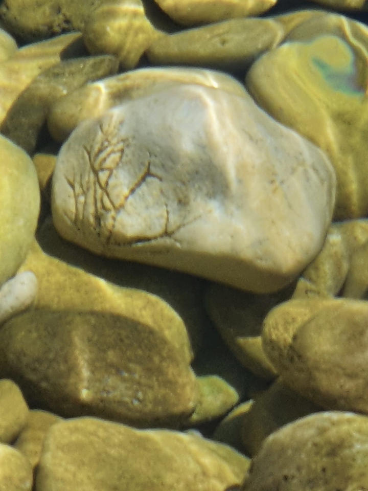 Stone