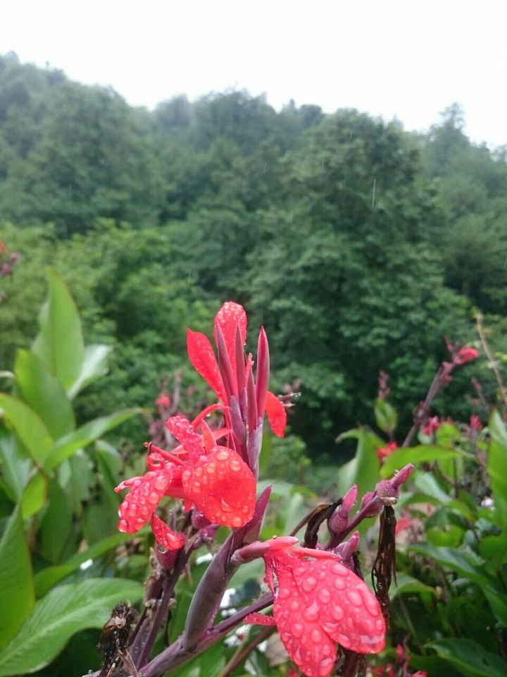 Roodbar-Gilan-Iran