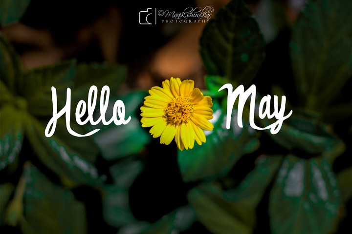 hello may