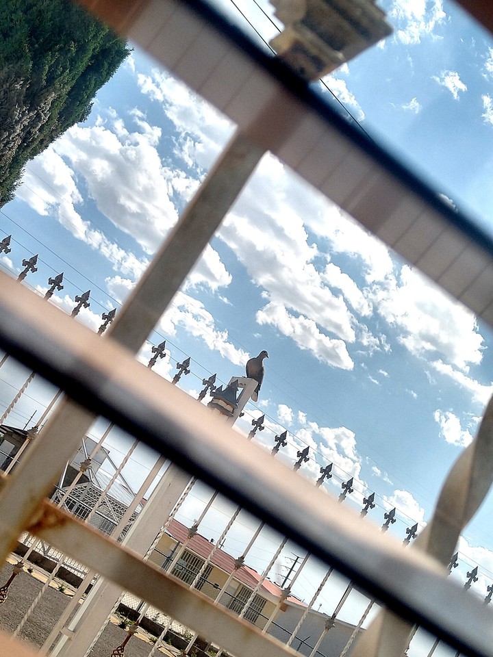 Libertad