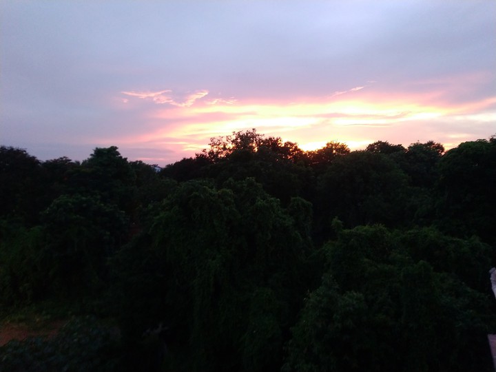 Nature