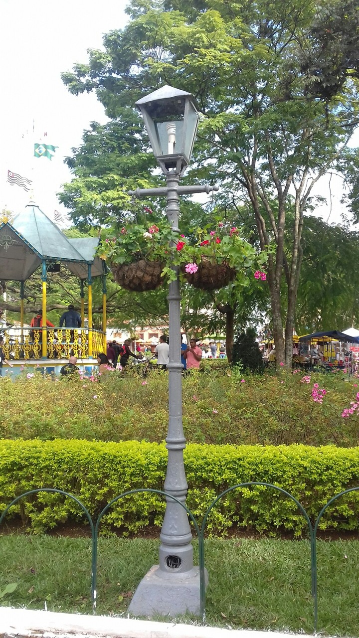 Jardim