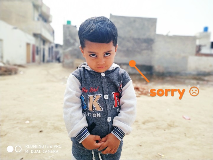 Sorry boy