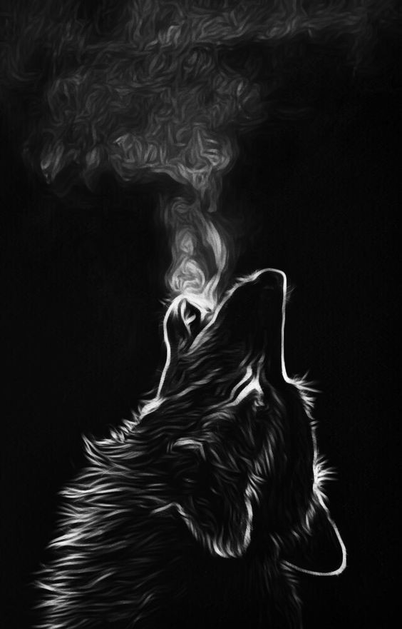 wolf