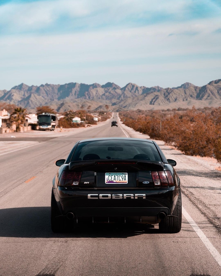 Cobra