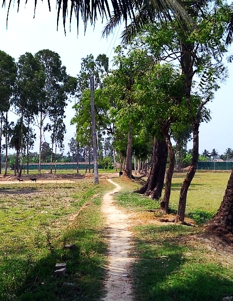 landscape