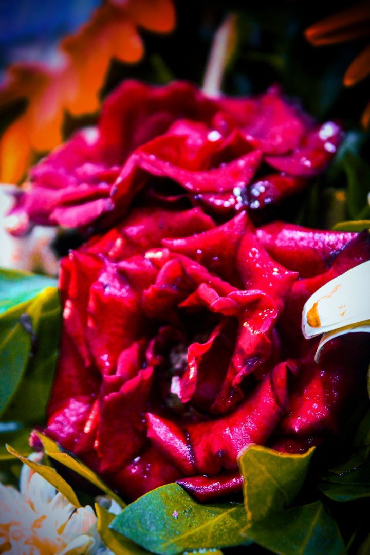 Rose....?