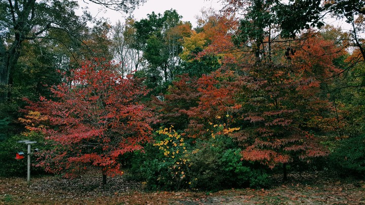 November