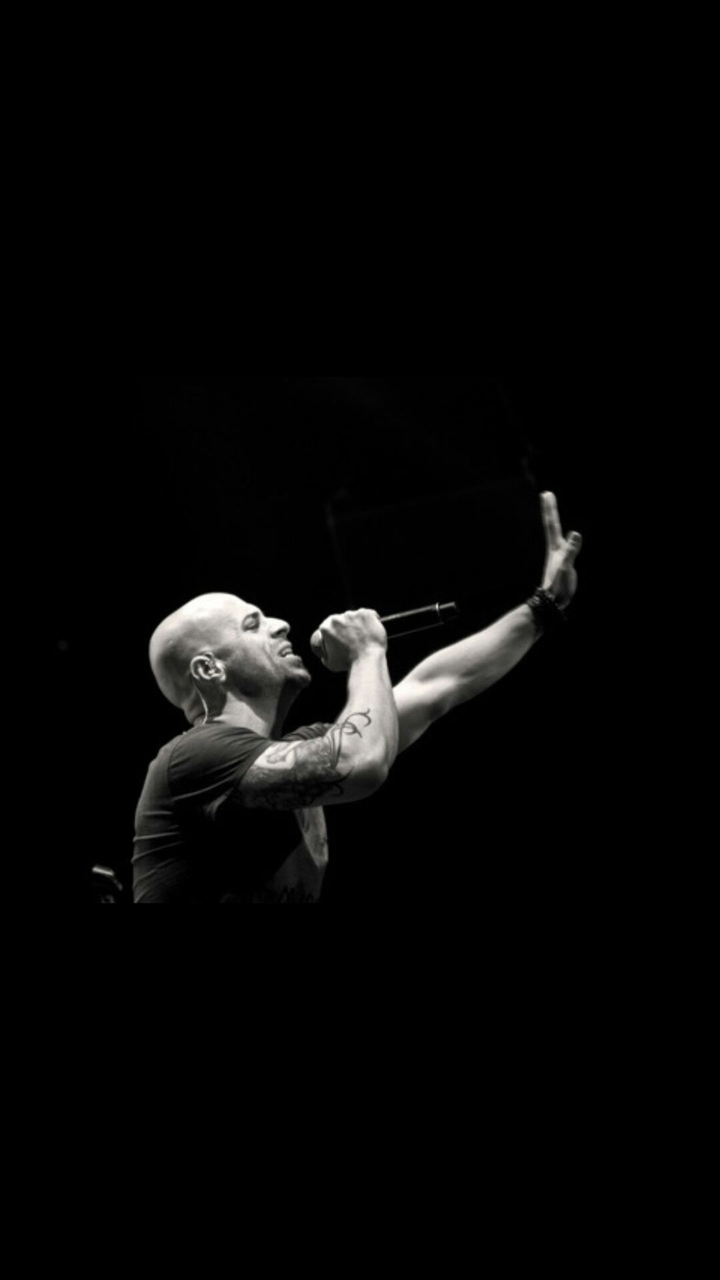 daughtry