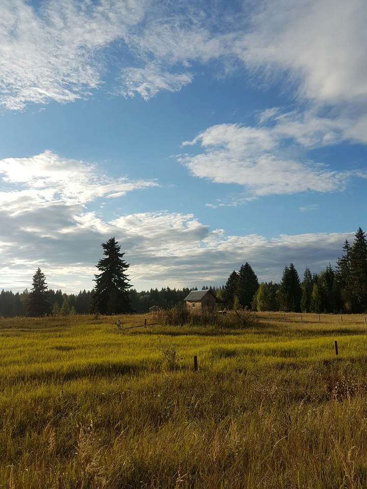 Autumn in countryside.