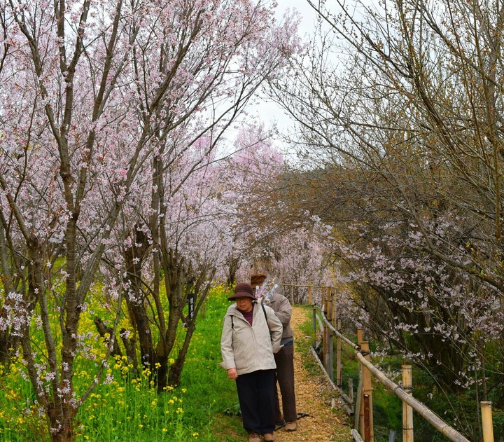 Love in Fukushima