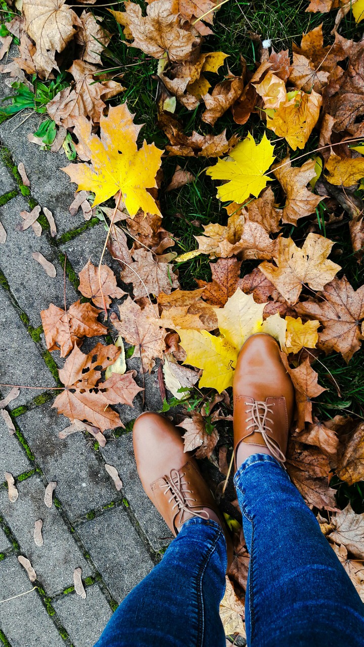 my autumn in Poland