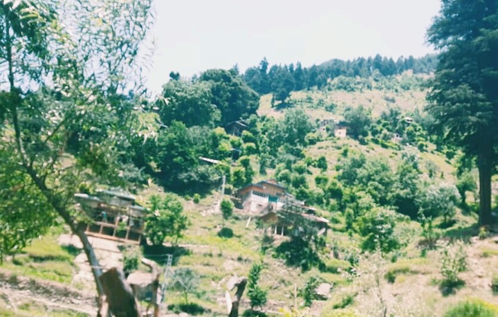 nature