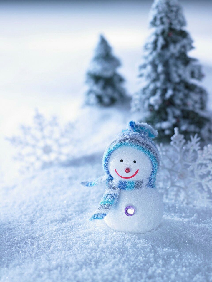❄