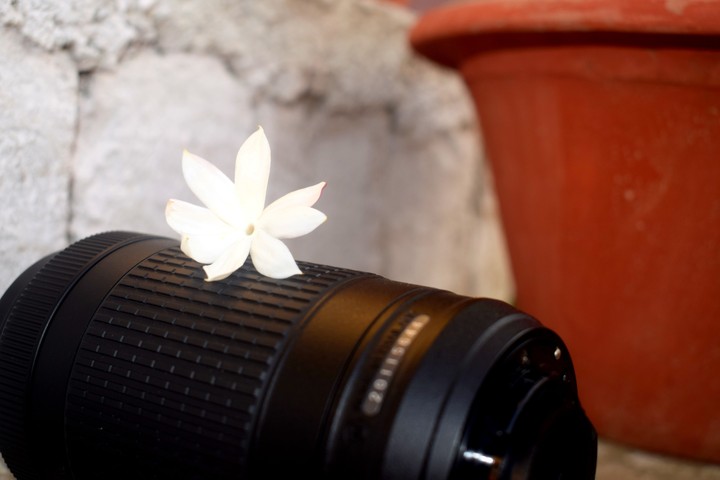 lens