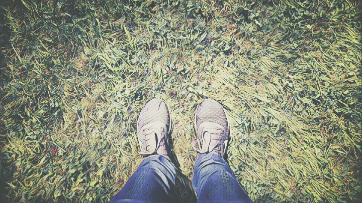 autumn is coming)