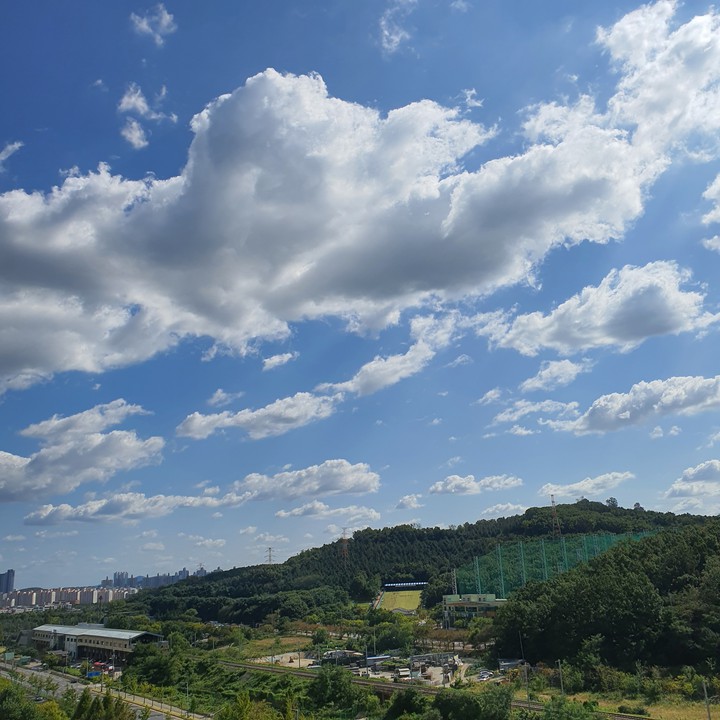 view