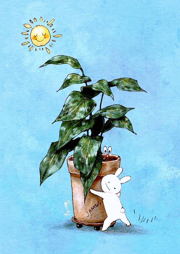 illustration