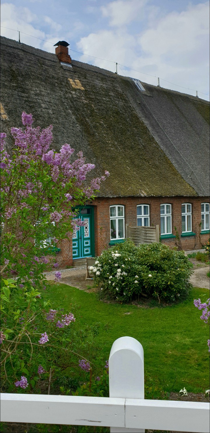farm