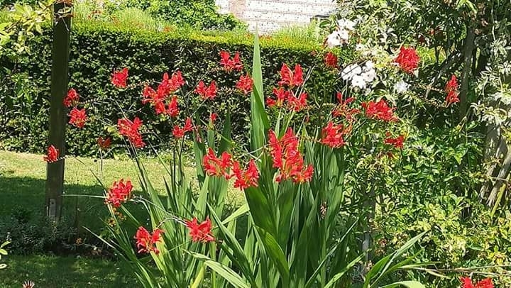 parc de rouelle