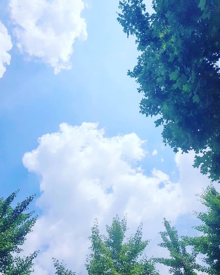 하늘