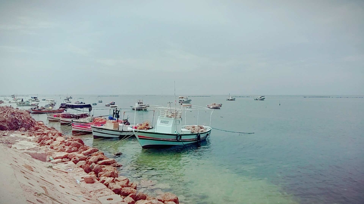 boat