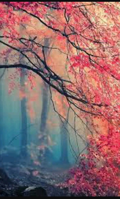spring