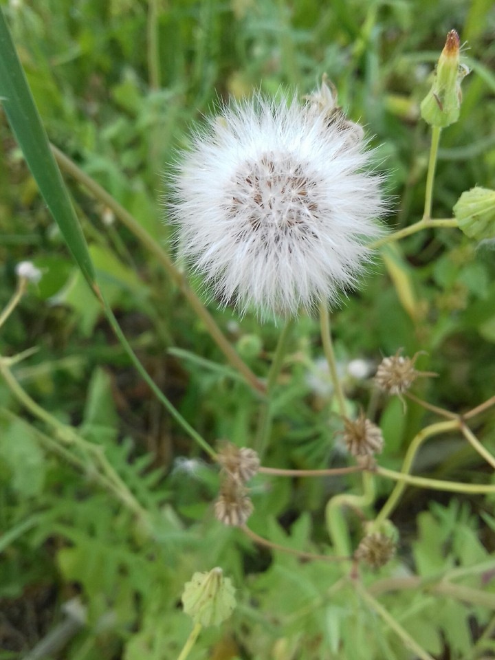 یه روز عالی