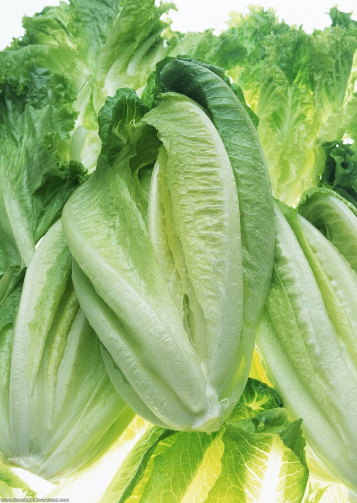 vege