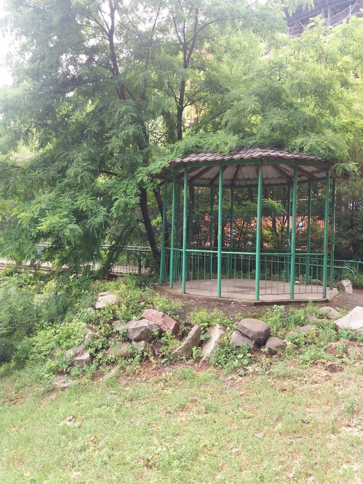 прогулянка парком