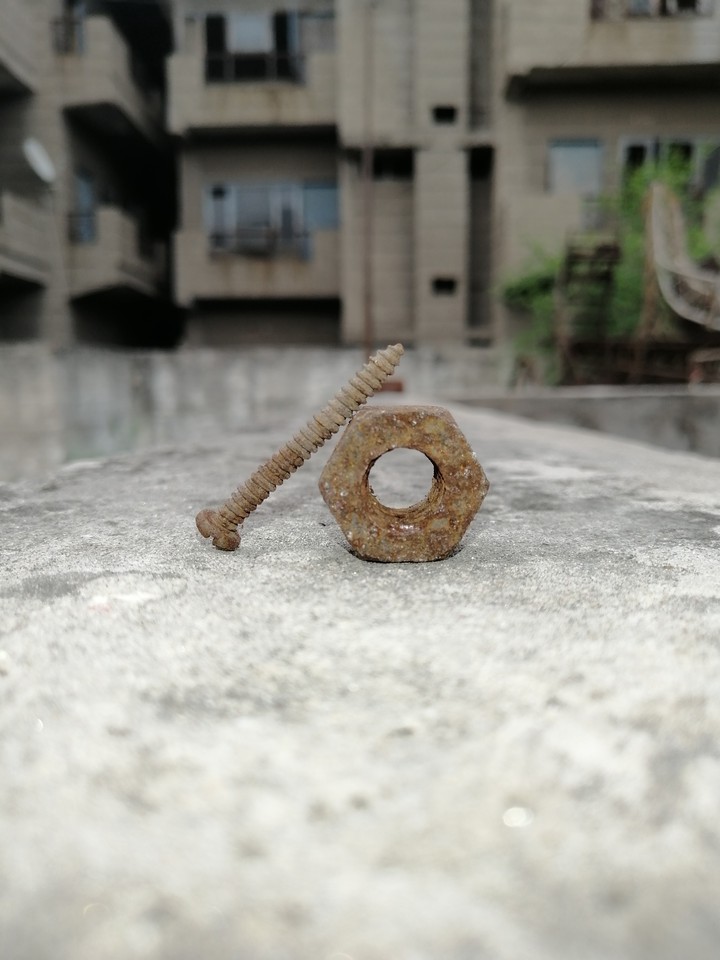 bolt