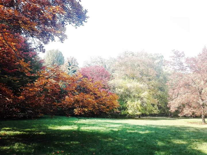 autumn