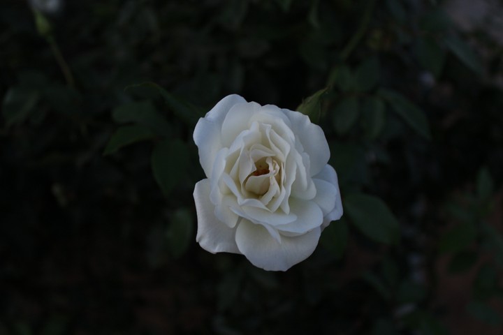 % Photography