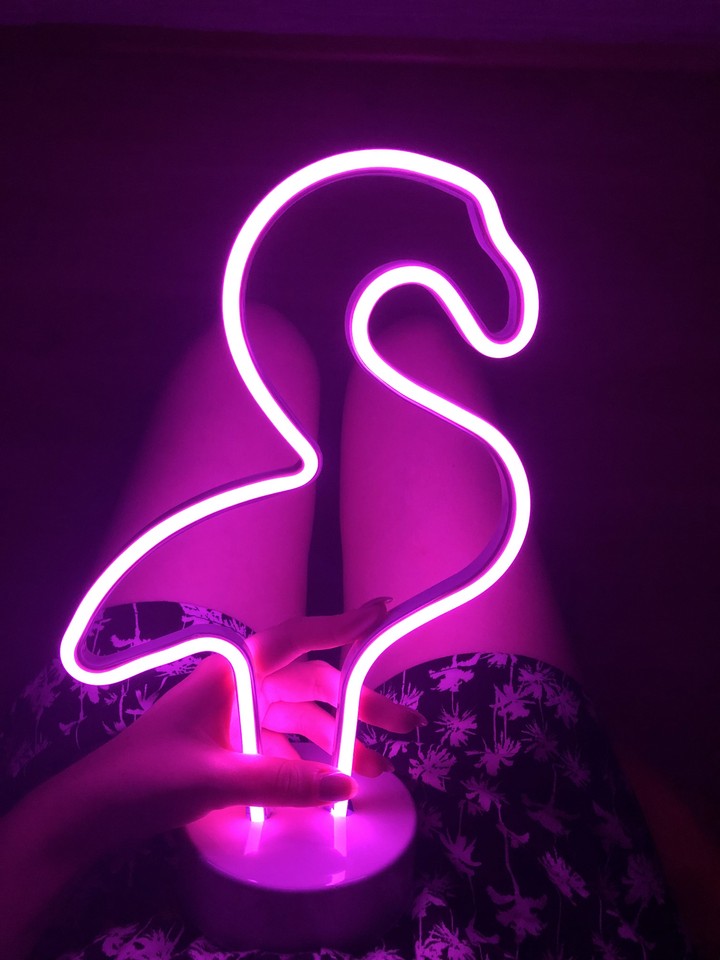 Neon flamingo