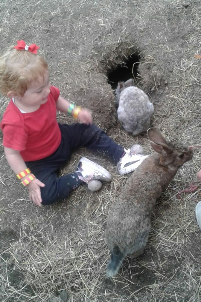 Dia de granja