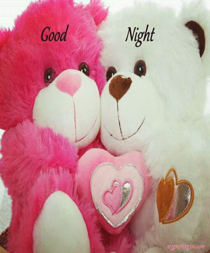 good night bear
