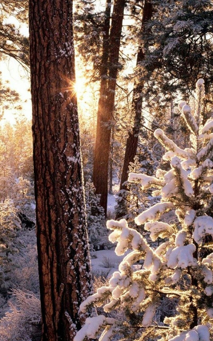 winter