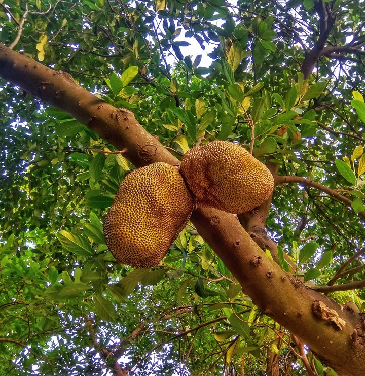 two..!))
