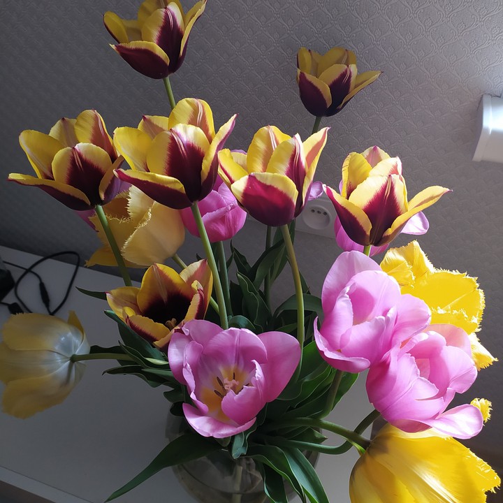 bunch of flowers