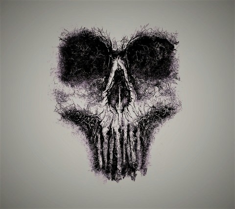 Call of duty GHOST