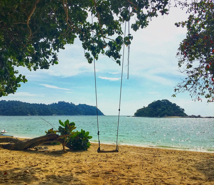 swing