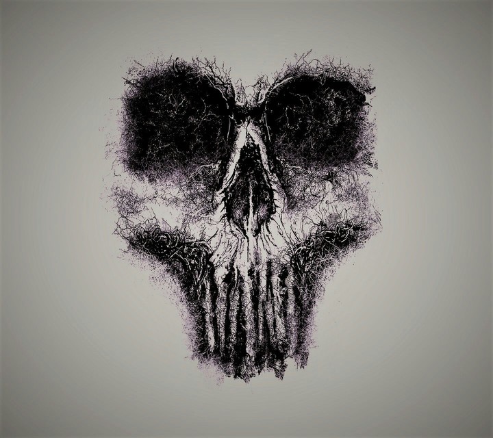 Call of duty GHOST