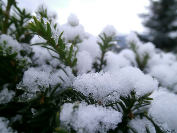 Snowflake