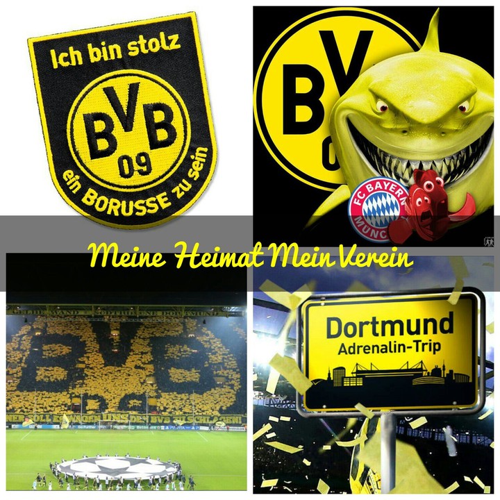 bvb