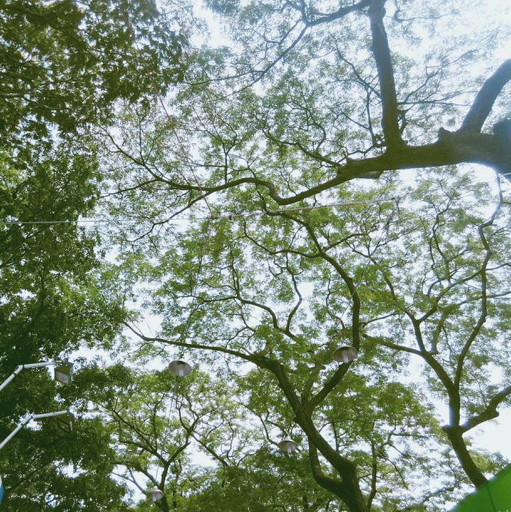 The Sky
